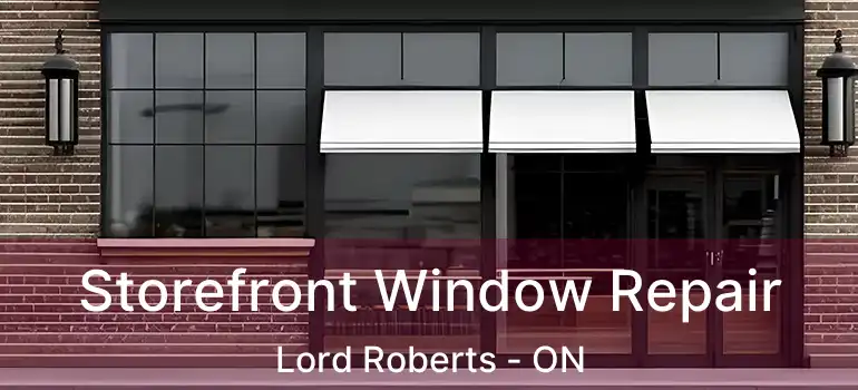  Storefront Window Repair Lord Roberts - ON