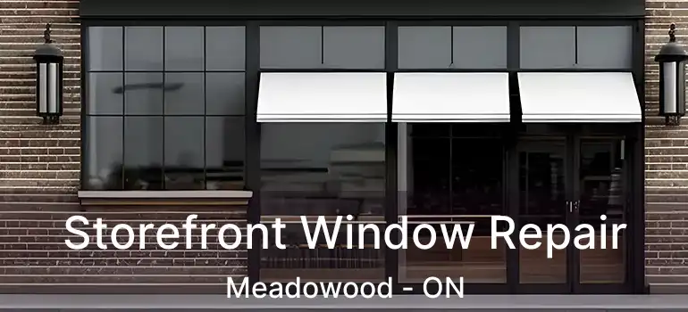  Storefront Window Repair Meadowood - ON