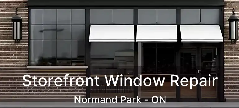  Storefront Window Repair Normand Park - ON