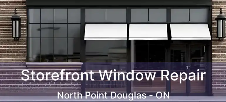  Storefront Window Repair North Point Douglas - ON