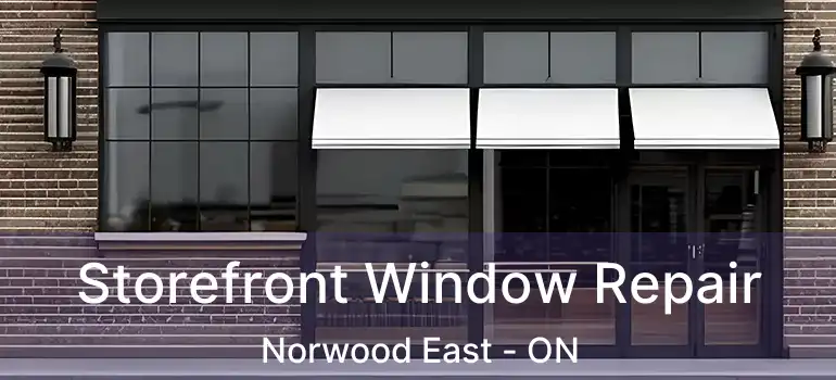  Storefront Window Repair Norwood East - ON