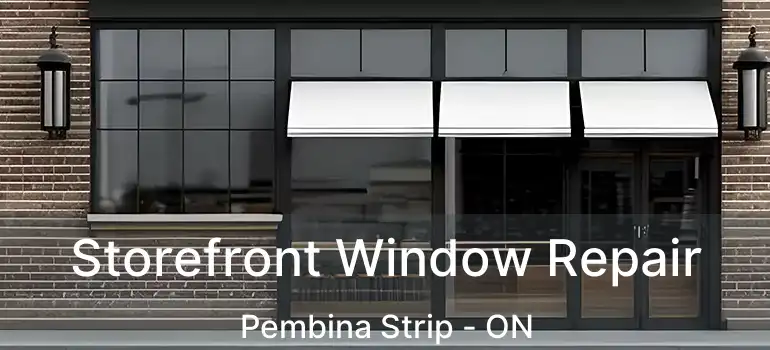  Storefront Window Repair Pembina Strip - ON