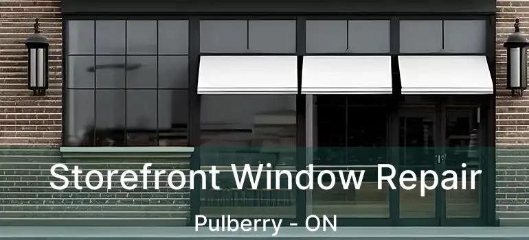  Storefront Window Repair Pulberry - ON