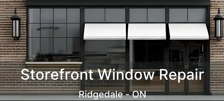  Storefront Window Repair Ridgedale - ON