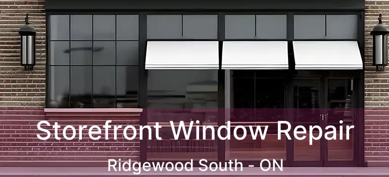  Storefront Window Repair Ridgewood South - ON