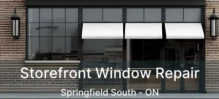  Storefront Window Repair Springfield South - ON