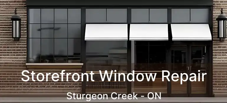  Storefront Window Repair Sturgeon Creek - ON