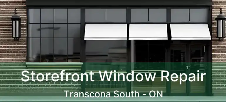  Storefront Window Repair Transcona South - ON
