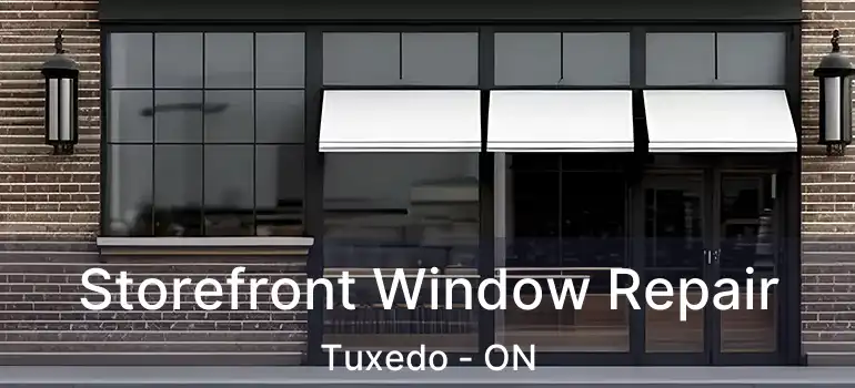  Storefront Window Repair Tuxedo - ON