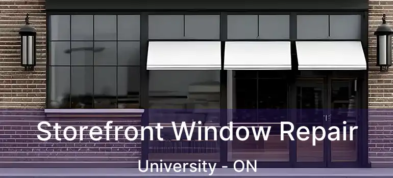  Storefront Window Repair University - ON
