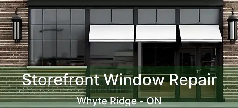  Storefront Window Repair Whyte Ridge - ON