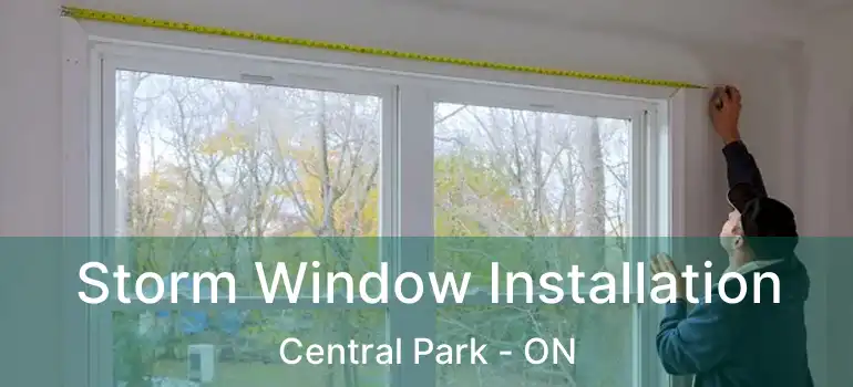  Storm Window Installation Central Park - ON