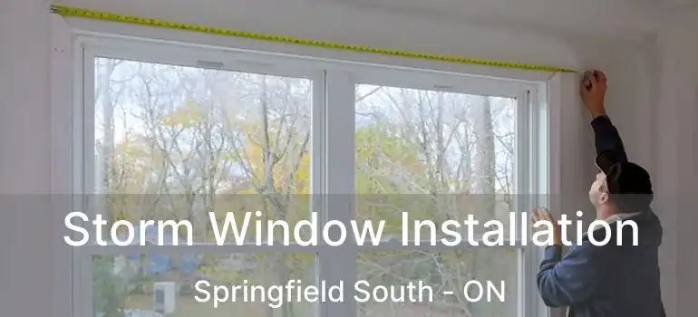  Storm Window Installation Springfield South - ON