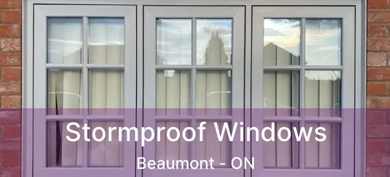  Stormproof Windows Beaumont - ON