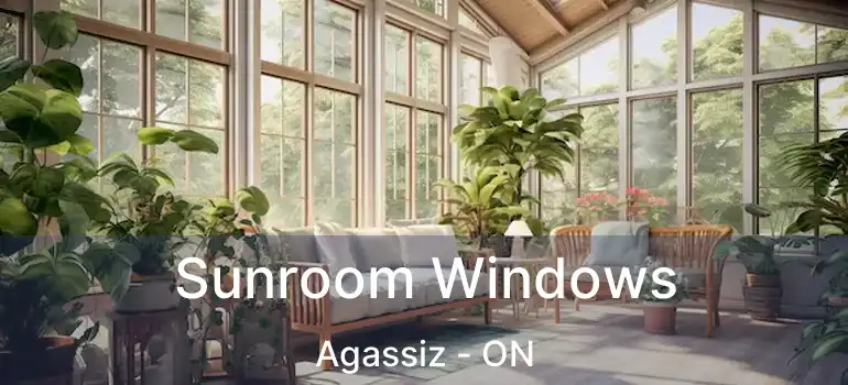  Sunroom Windows Agassiz - ON