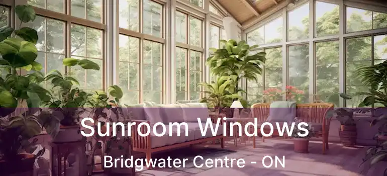  Sunroom Windows Bridgwater Centre - ON
