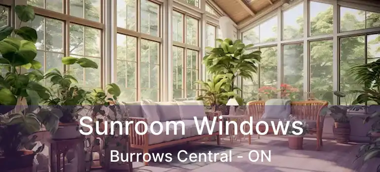  Sunroom Windows Burrows Central - ON