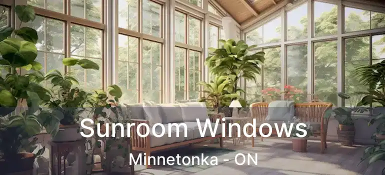  Sunroom Windows Minnetonka - ON