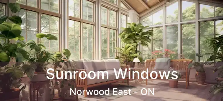  Sunroom Windows Norwood East - ON