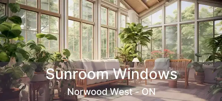  Sunroom Windows Norwood West - ON