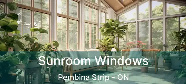  Sunroom Windows Pembina Strip - ON