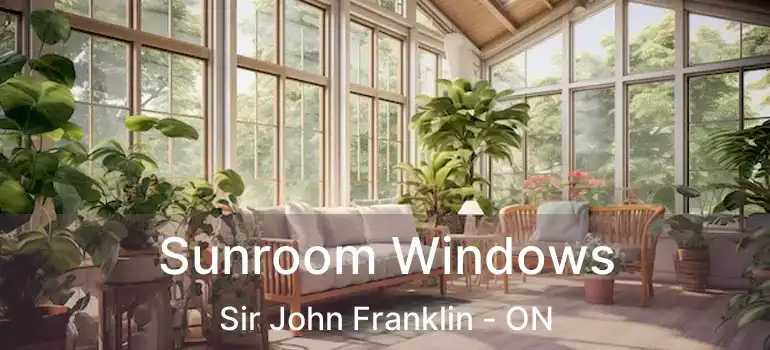  Sunroom Windows Sir John Franklin - ON