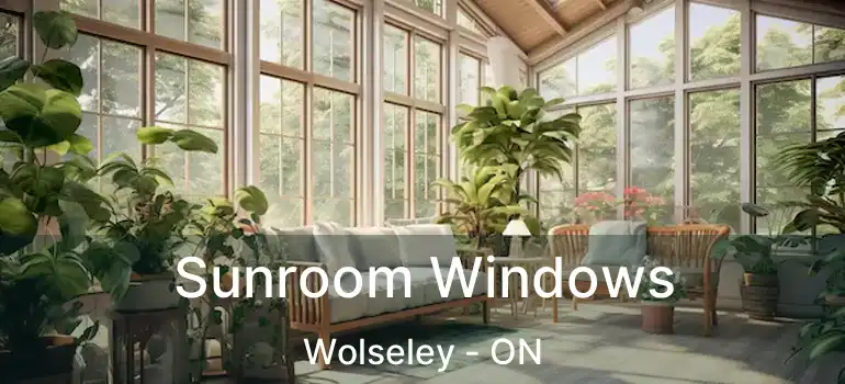  Sunroom Windows Wolseley - ON