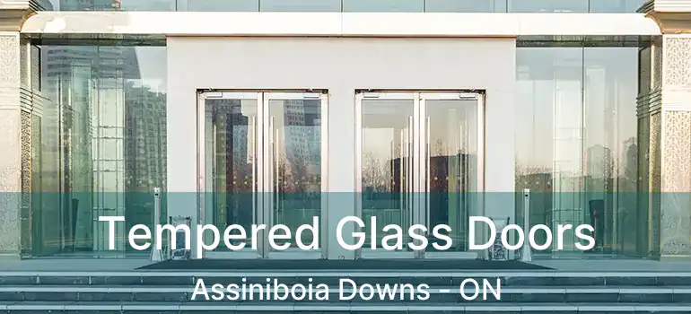  Tempered Glass Doors Assiniboia Downs - ON