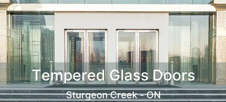  Tempered Glass Doors Sturgeon Creek - ON