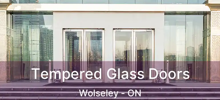  Tempered Glass Doors Wolseley - ON