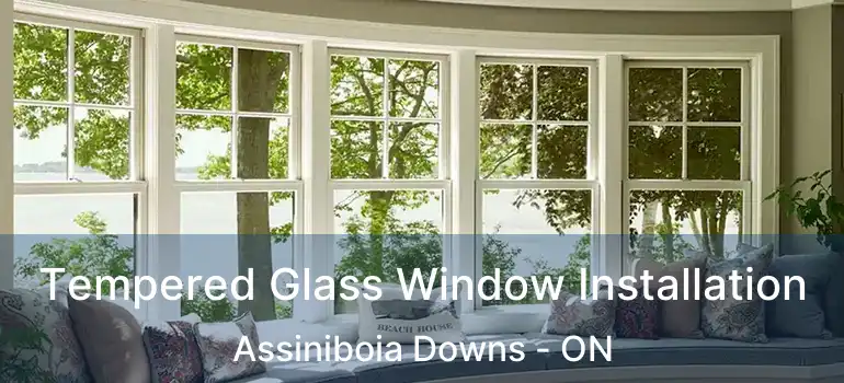  Tempered Glass Window Installation Assiniboia Downs - ON