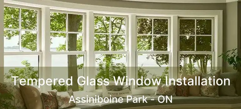  Tempered Glass Window Installation Assiniboine Park - ON