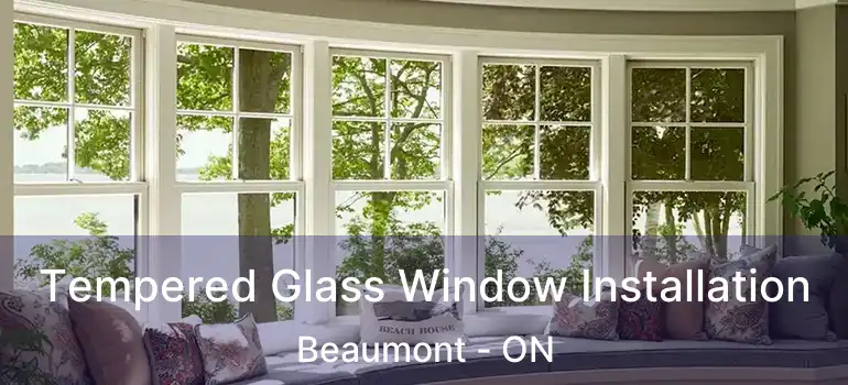  Tempered Glass Window Installation Beaumont - ON