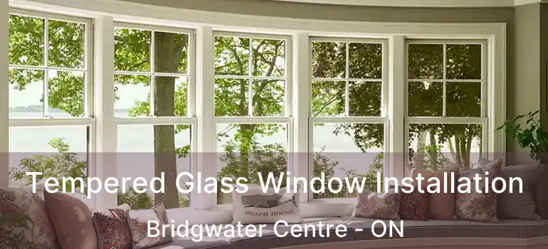  Tempered Glass Window Installation Bridgwater Centre - ON