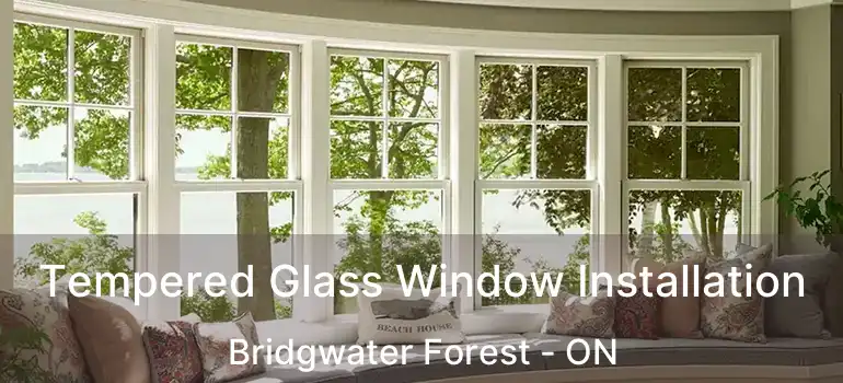  Tempered Glass Window Installation Bridgwater Forest - ON
