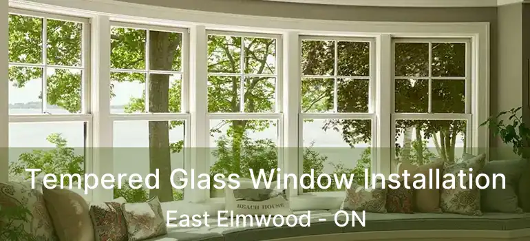  Tempered Glass Window Installation East Elmwood - ON