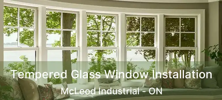  Tempered Glass Window Installation McLeod Industrial - ON
