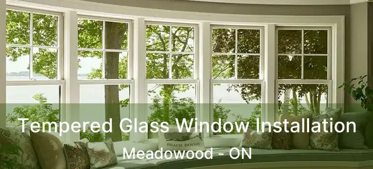  Tempered Glass Window Installation Meadowood - ON