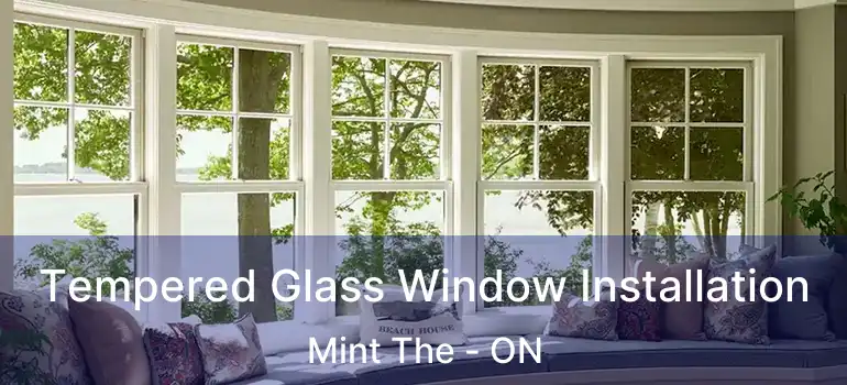  Tempered Glass Window Installation Mint The - ON