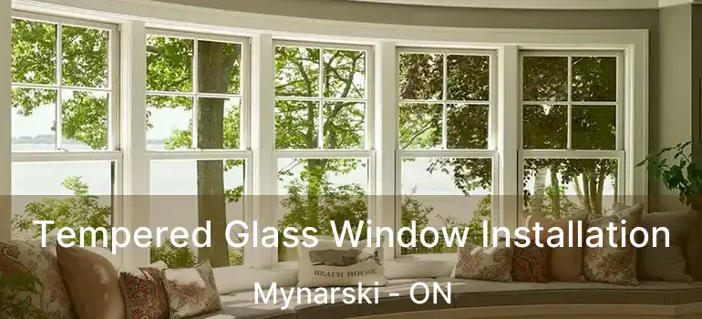  Tempered Glass Window Installation Mynarski - ON