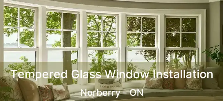  Tempered Glass Window Installation Norberry - ON