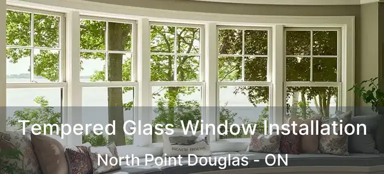  Tempered Glass Window Installation North Point Douglas - ON