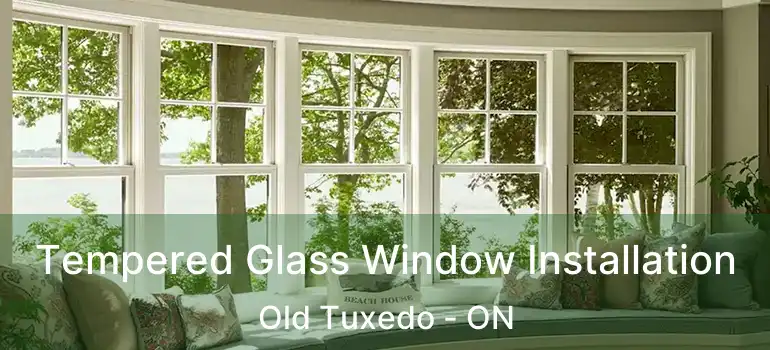  Tempered Glass Window Installation Old Tuxedo - ON