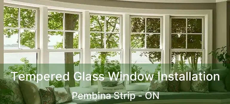  Tempered Glass Window Installation Pembina Strip - ON