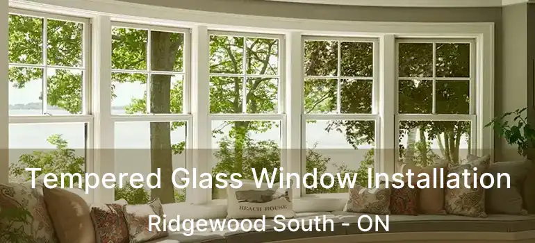  Tempered Glass Window Installation Ridgewood South - ON