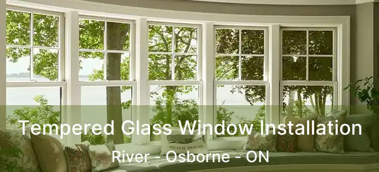  Tempered Glass Window Installation River - Osborne - ON