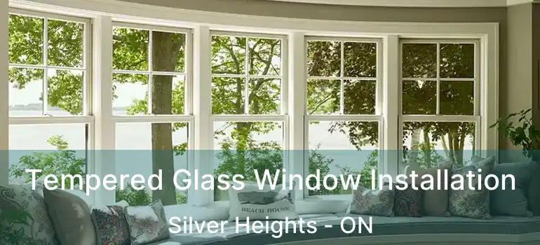  Tempered Glass Window Installation Silver Heights - ON