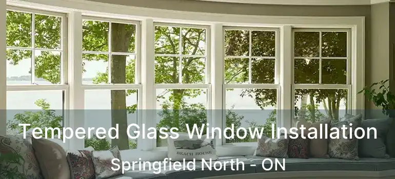  Tempered Glass Window Installation Springfield North - ON