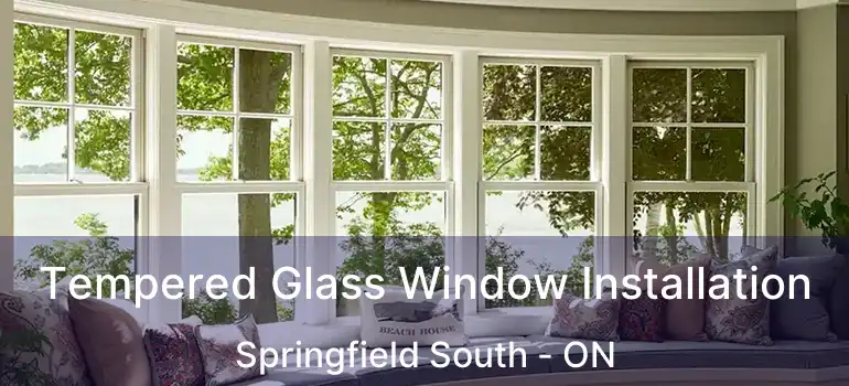  Tempered Glass Window Installation Springfield South - ON