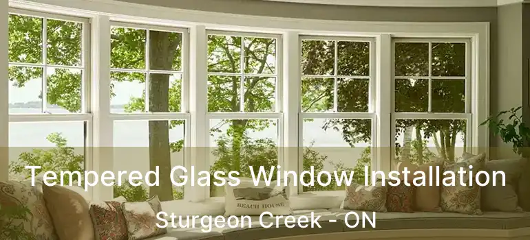  Tempered Glass Window Installation Sturgeon Creek - ON